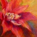 Annual Christmas Art Fest Annual Christmas Art Fest