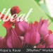 5 Rhythms DANCE Workshop – HEARTBEAT 5 Rhythms DANCE Workshop – HEARTBEAT