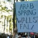 New Rules for Radicals: 10 Ways To Spark Change in a Post-Occupy World The world is changing quickly, and we need to help steer it according to our shared values — our vision of what might be.