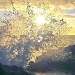 Lemurian Creation Portal Tour Lemurian Creation Portal Tour
