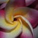 Essential Yoga & Sound Meditation Workshop ~ April 21st, 10:30-2:30pm Essential Yoga & Sound Meditation Workshop ~ April 21st, 10:30-2:30pm