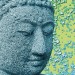 webbuddha small